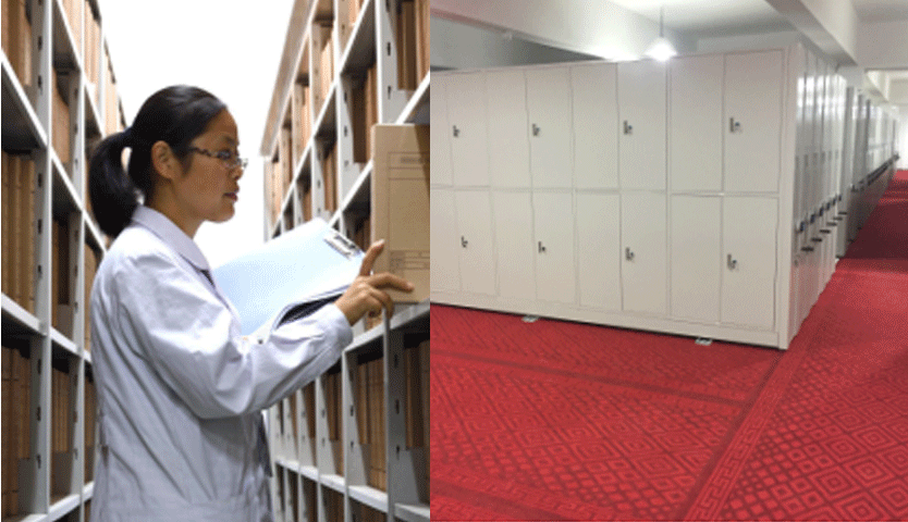 1493797745718975.png xmfw6.png