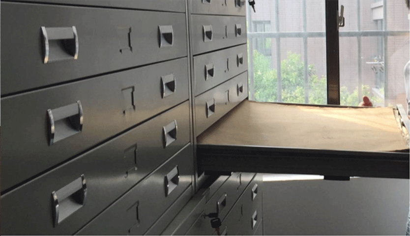 1493797927196310.png fwxm2.png