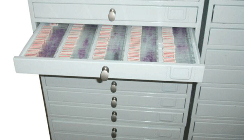 1493798077634804.png fwxm4.png